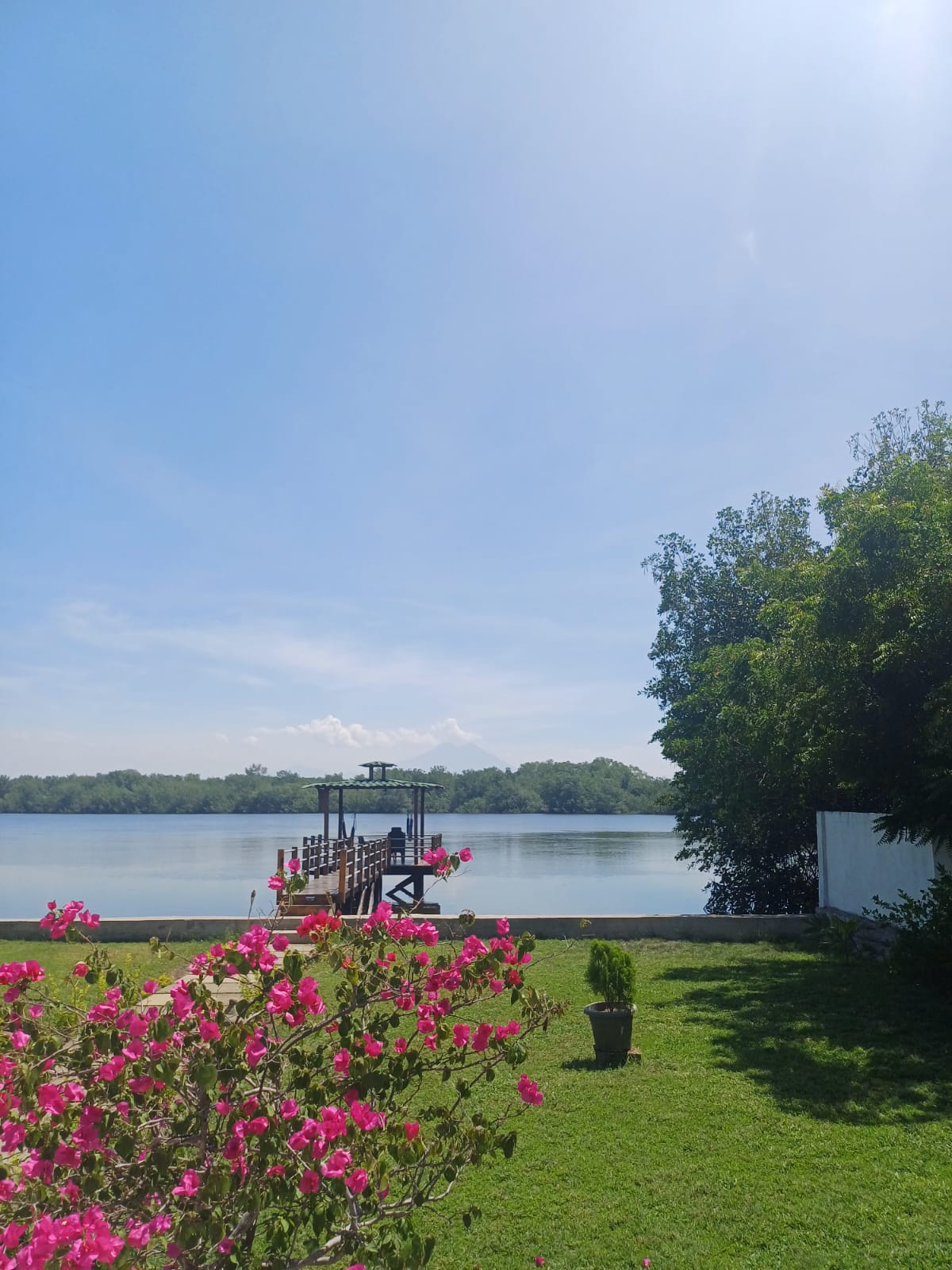 Waterfront Property for Sale in Costa del Sol - Image 2