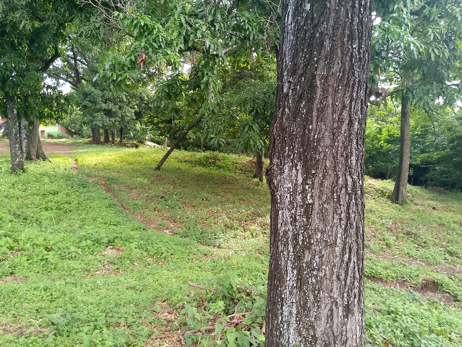 Lot for sale in Residencial El Sinaí - Thumbnail 3