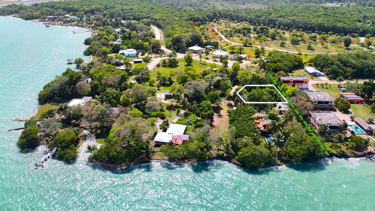 Gorgeous Sea View Lot in Consejo Shores – Oversized Parcel Near the Coast - Thumbnail 2