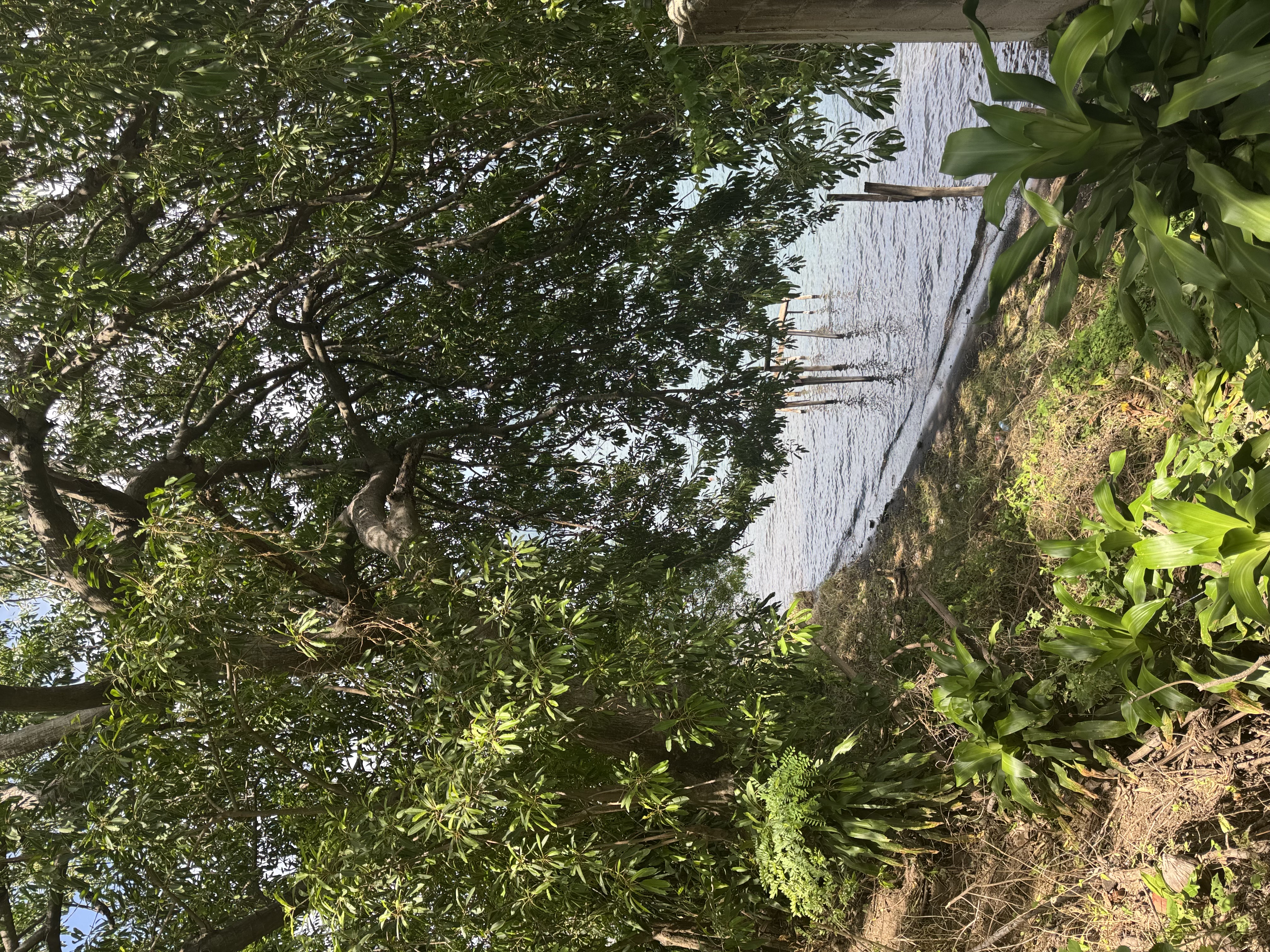 Coatepeque Lakefront - Thumbnail 2