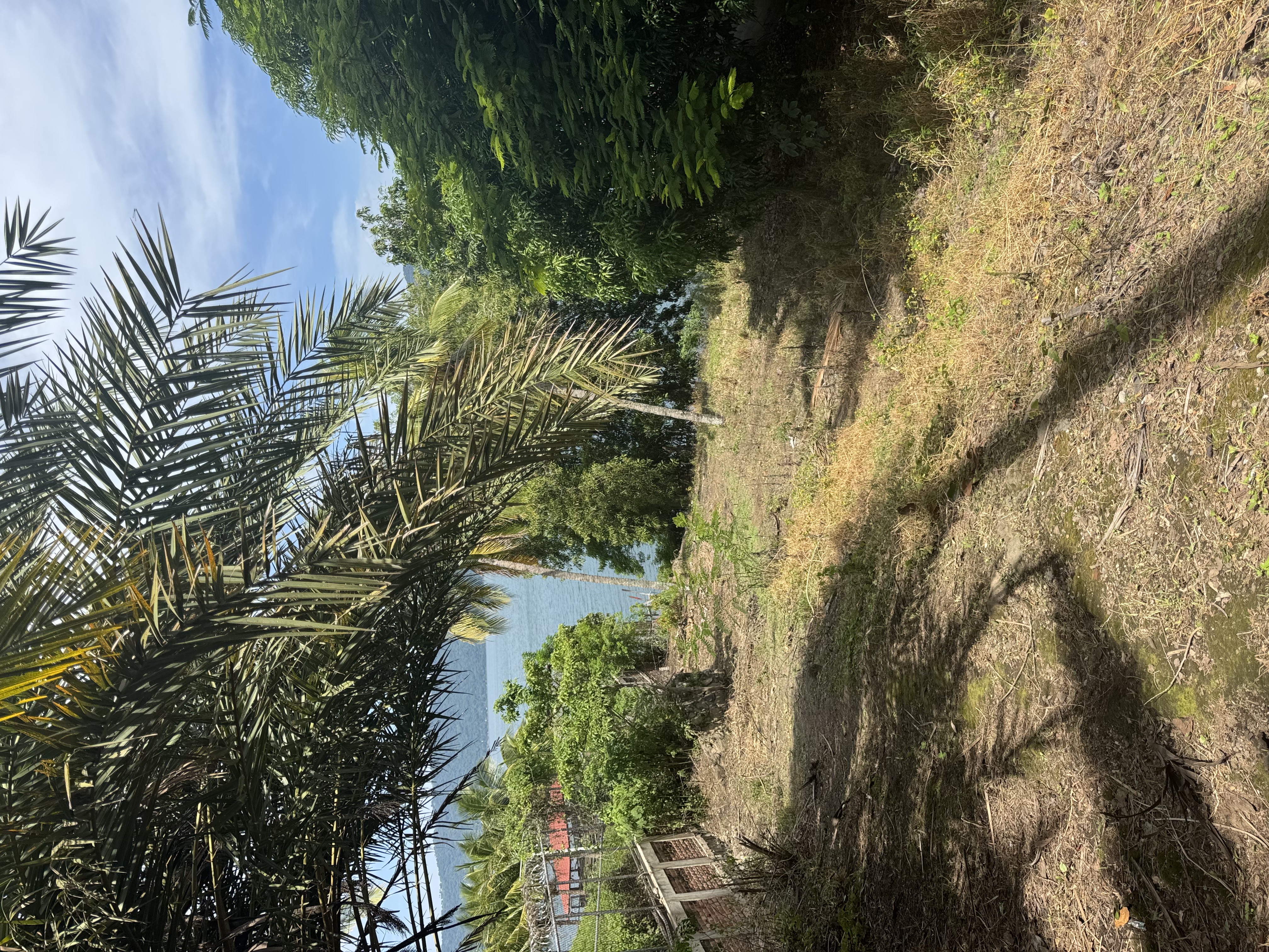 Coatepeque Lakefront - Thumbnail 6