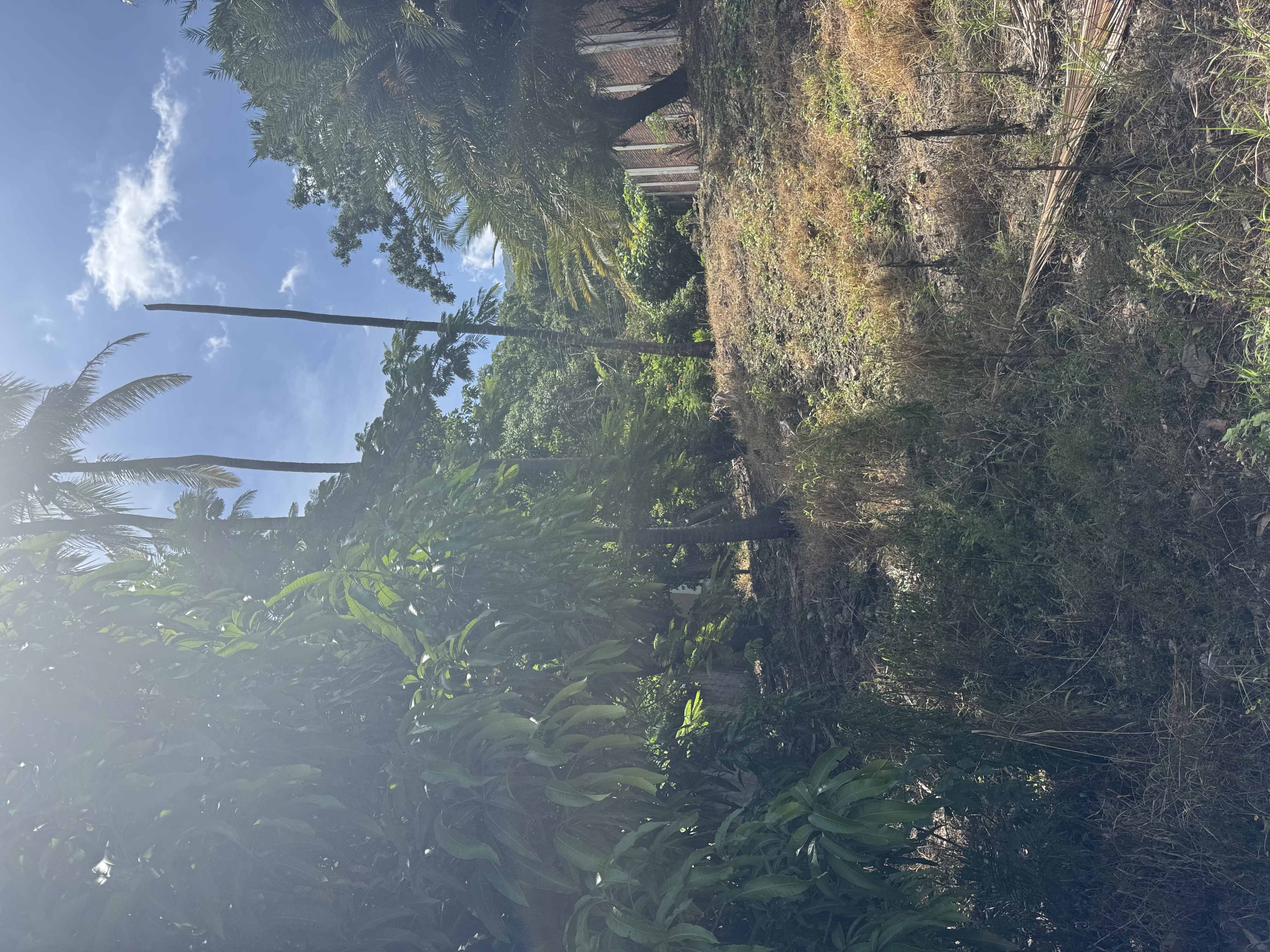 Coatepeque Lakefront - Thumbnail 5