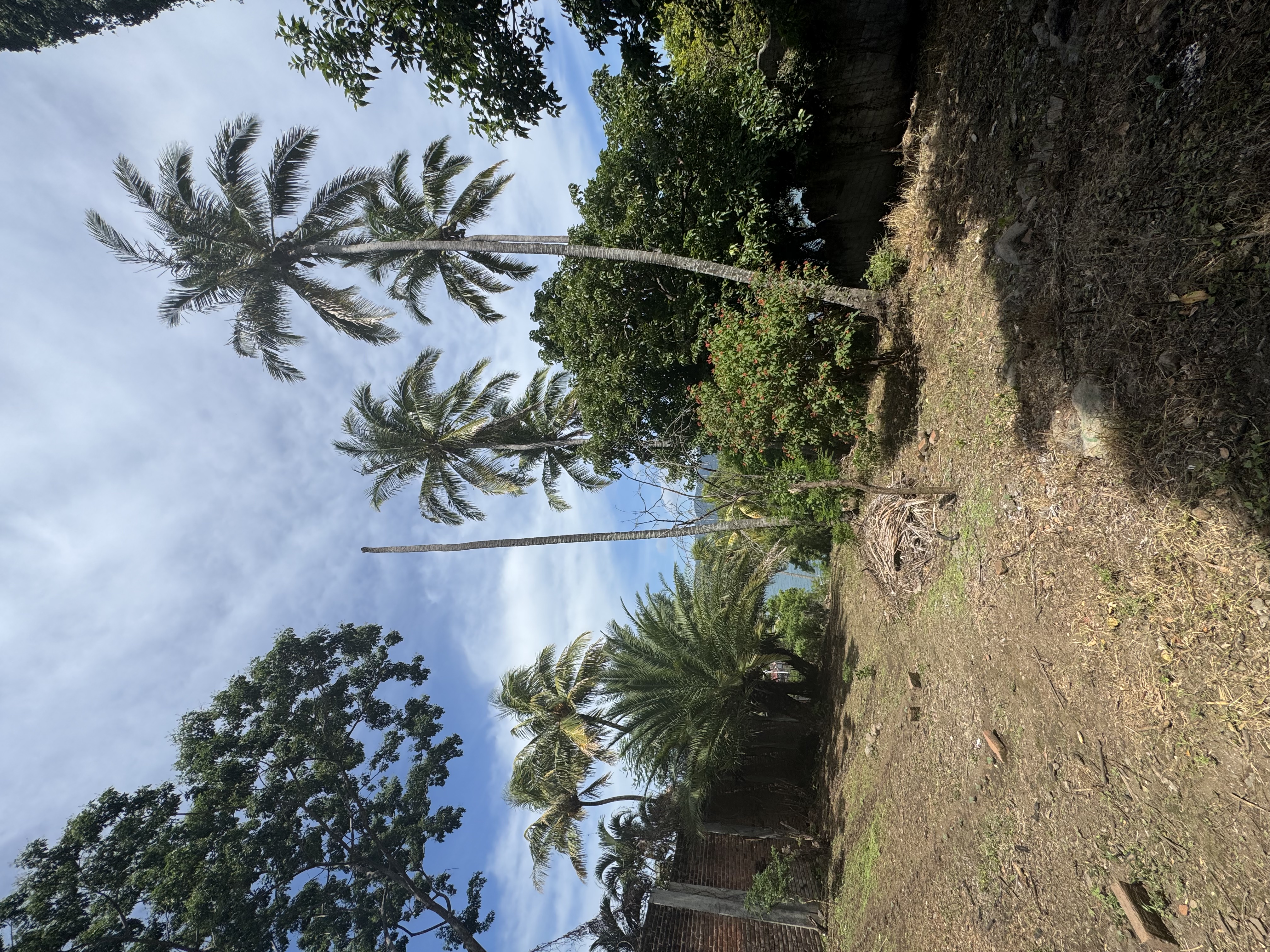 Coatepeque Lakefront - Thumbnail 8