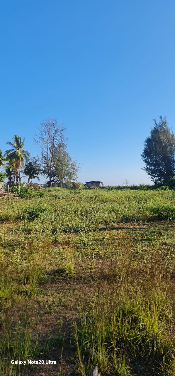Beachfront Lot for Sale – El Cuco - El Salvador - Thumbnail 2