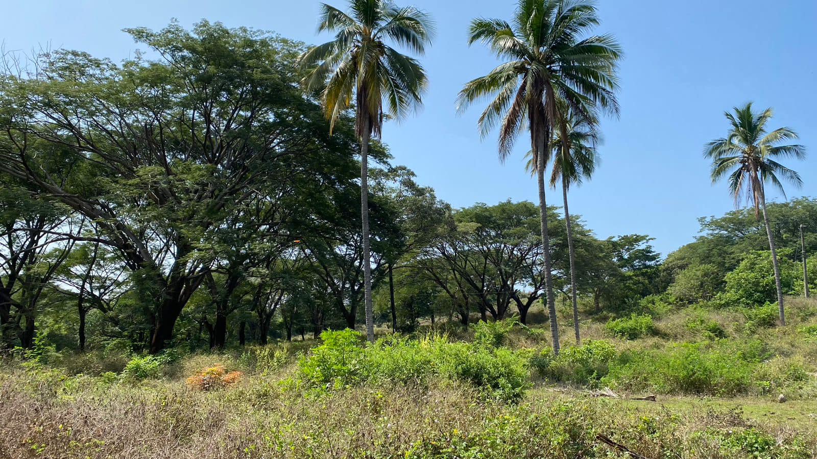 Land for Sale 38+ acres - in Zaragoza – 1.5 km from Surf City, El Salvador