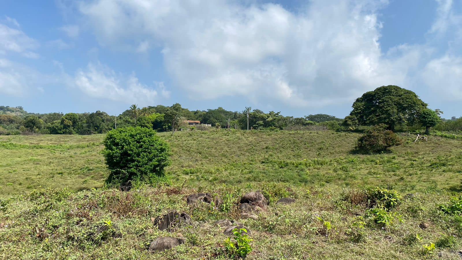 Land for Sale 38+ acres - in Zaragoza – 1.5 km from Surf City, El Salvador - Thumbnail 3