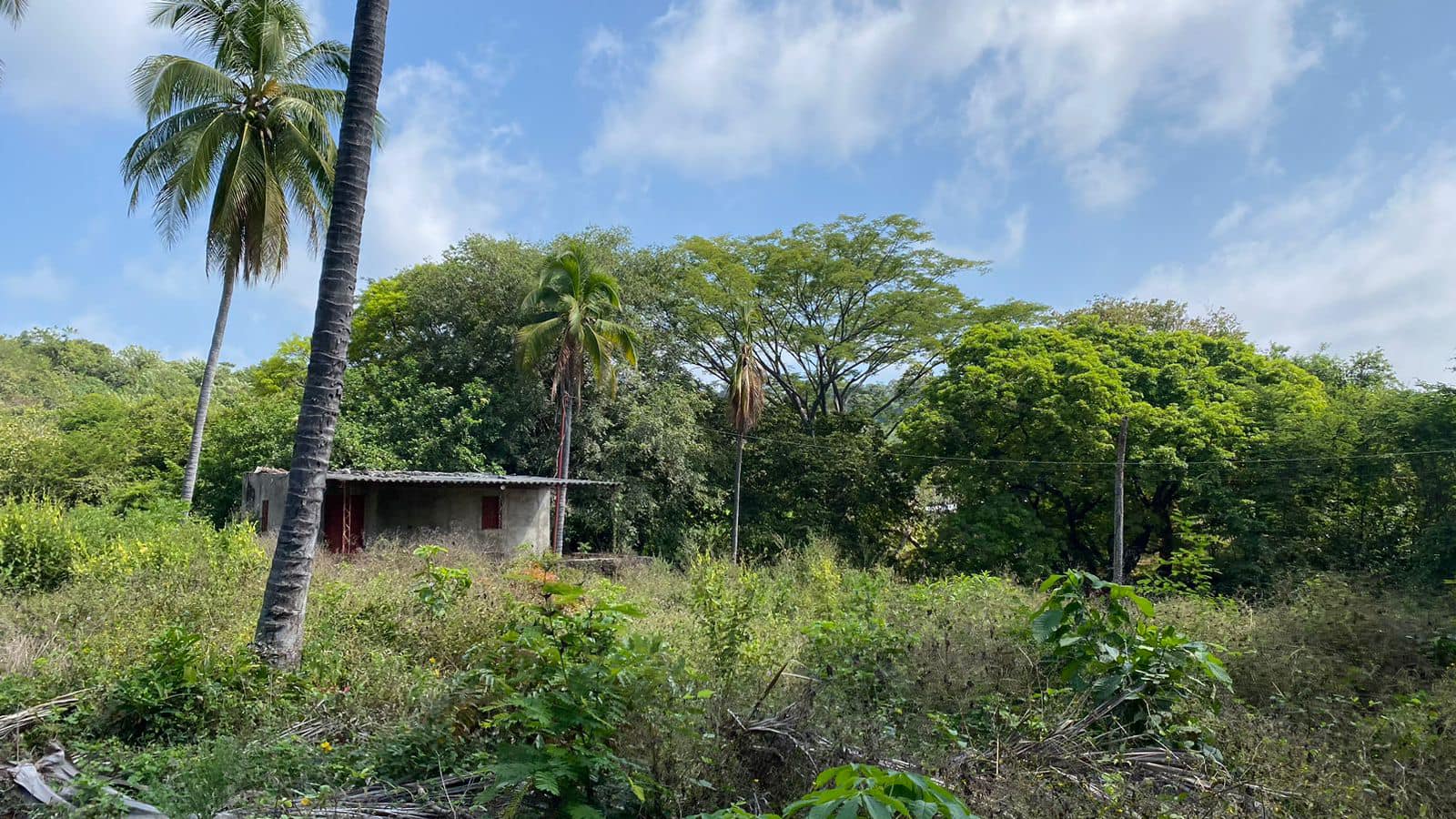 Land for Sale 38+ acres - in Zaragoza – 1.5 km from Surf City, El Salvador - Thumbnail 9