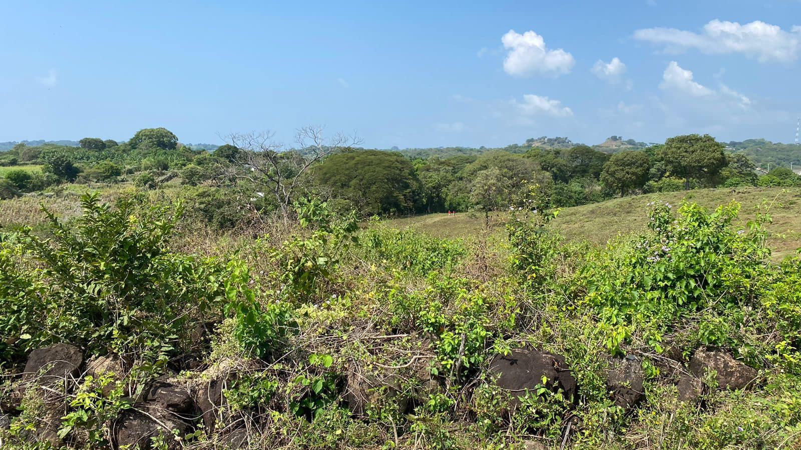 Land for Sale 38+ acres - in Zaragoza – 1.5 km from Surf City, El Salvador - Thumbnail 8