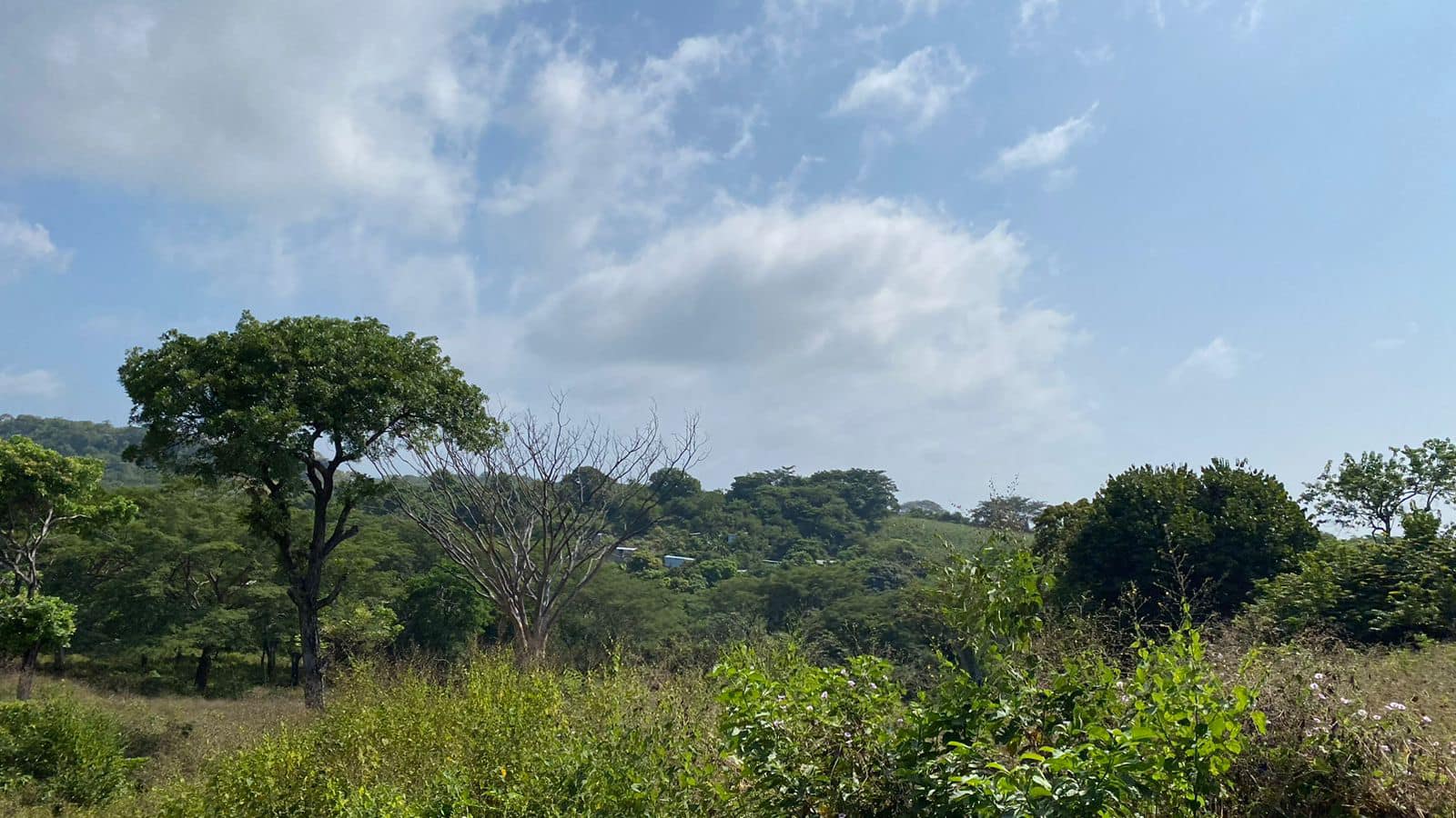 Land for Sale 38+ acres - in Zaragoza – 1.5 km from Surf City, El Salvador - Thumbnail 6