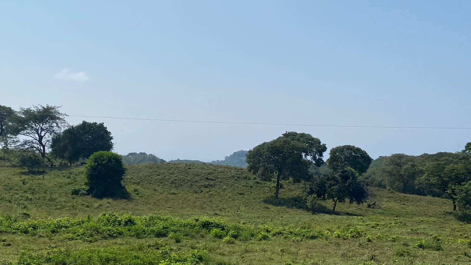 Land for Sale 38+ acres - in Zaragoza – 1.5 km from Surf City, El Salvador - Thumbnail 4