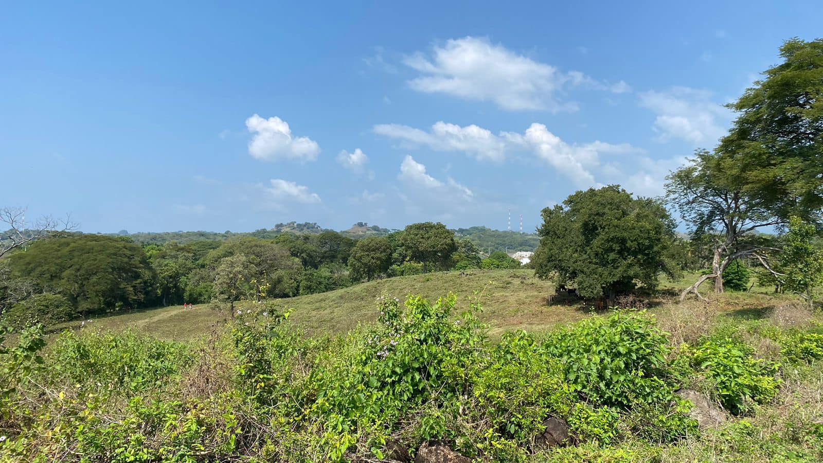 Land for Sale 38+ acres - in Zaragoza – 1.5 km from Surf City, El Salvador - Thumbnail 7