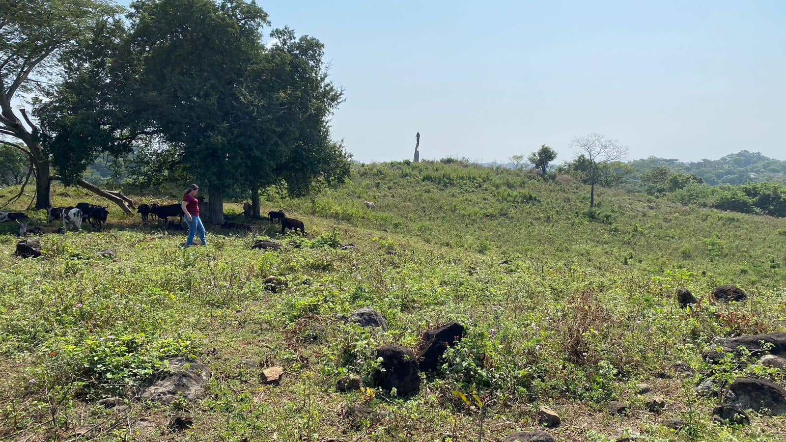 Land for Sale 38+ acres - in Zaragoza – 1.5 km from Surf City, El Salvador - Thumbnail 2