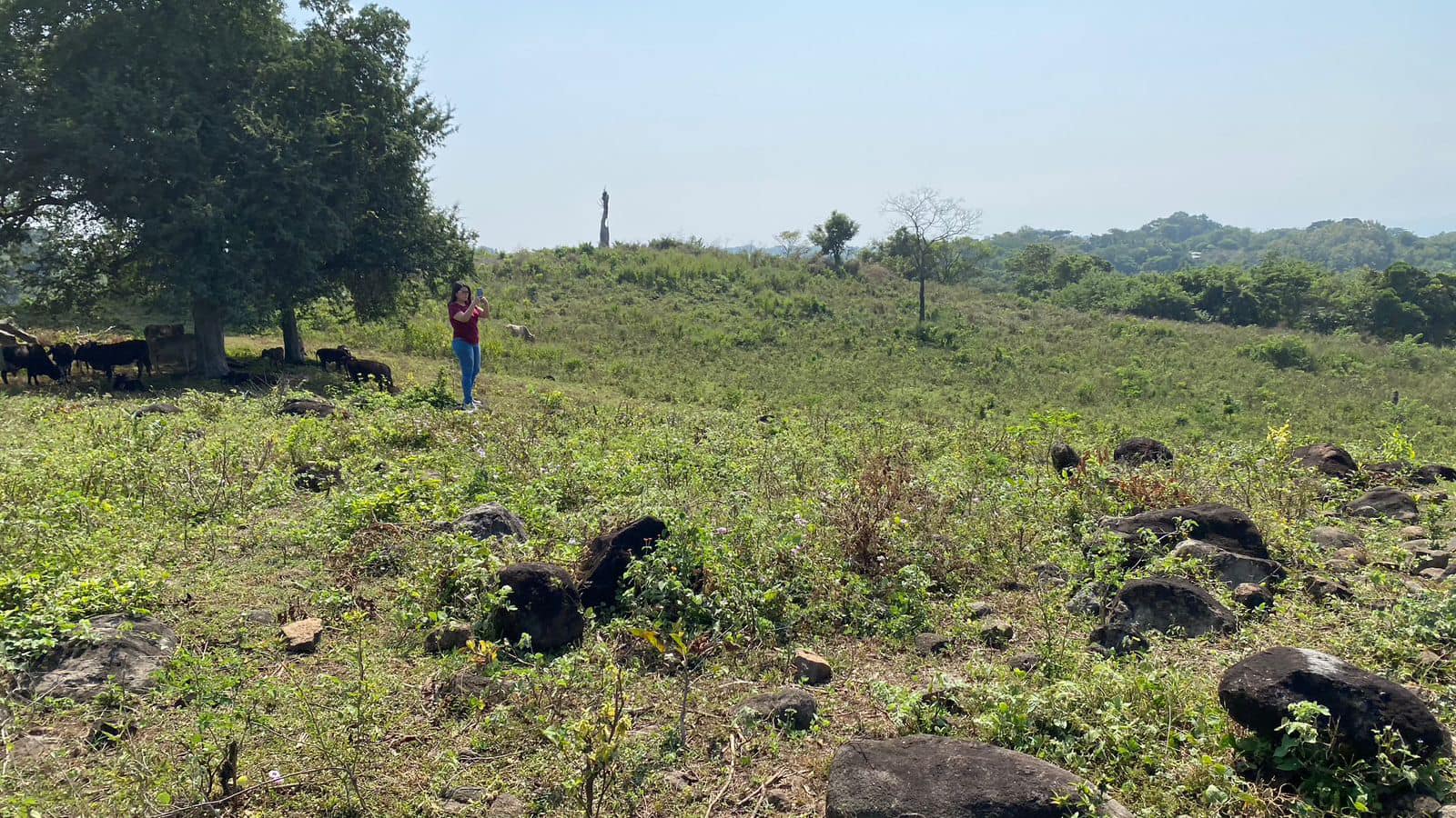 Land for Sale 38+ acres - in Zaragoza – 1.5 km from Surf City, El Salvador - Thumbnail 12
