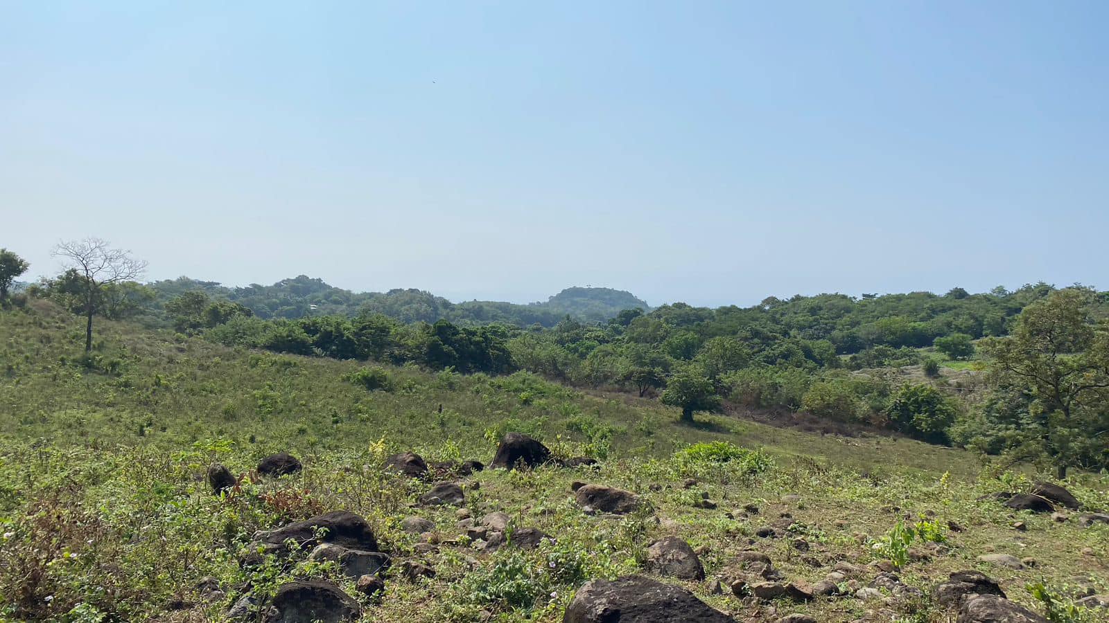 Land for Sale 38+ acres - in Zaragoza – 1.5 km from Surf City, El Salvador - Thumbnail 5
