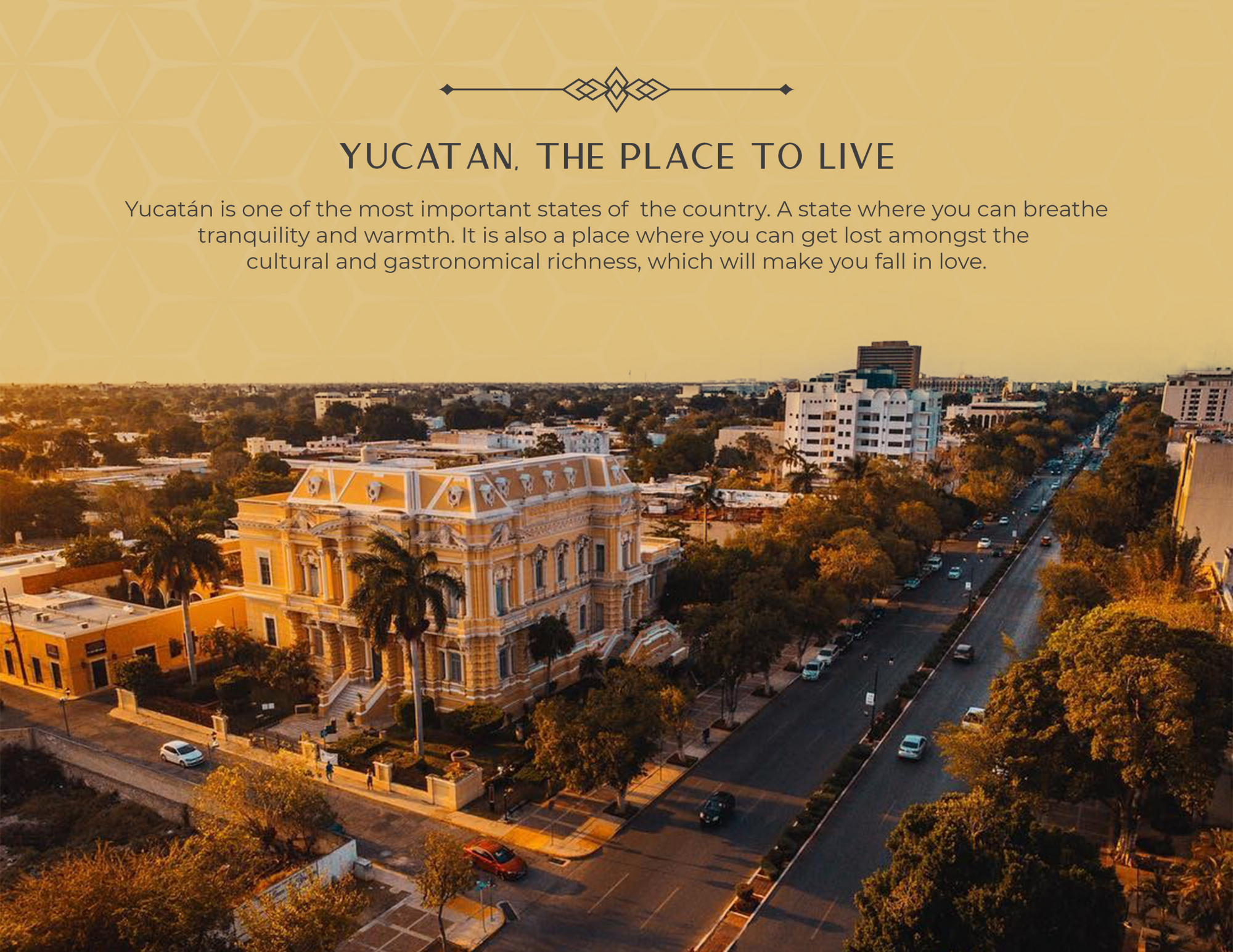 1-Bedroom Condo at Monarca Residences Merida, Yucatan, Mexico - Thumbnail 13