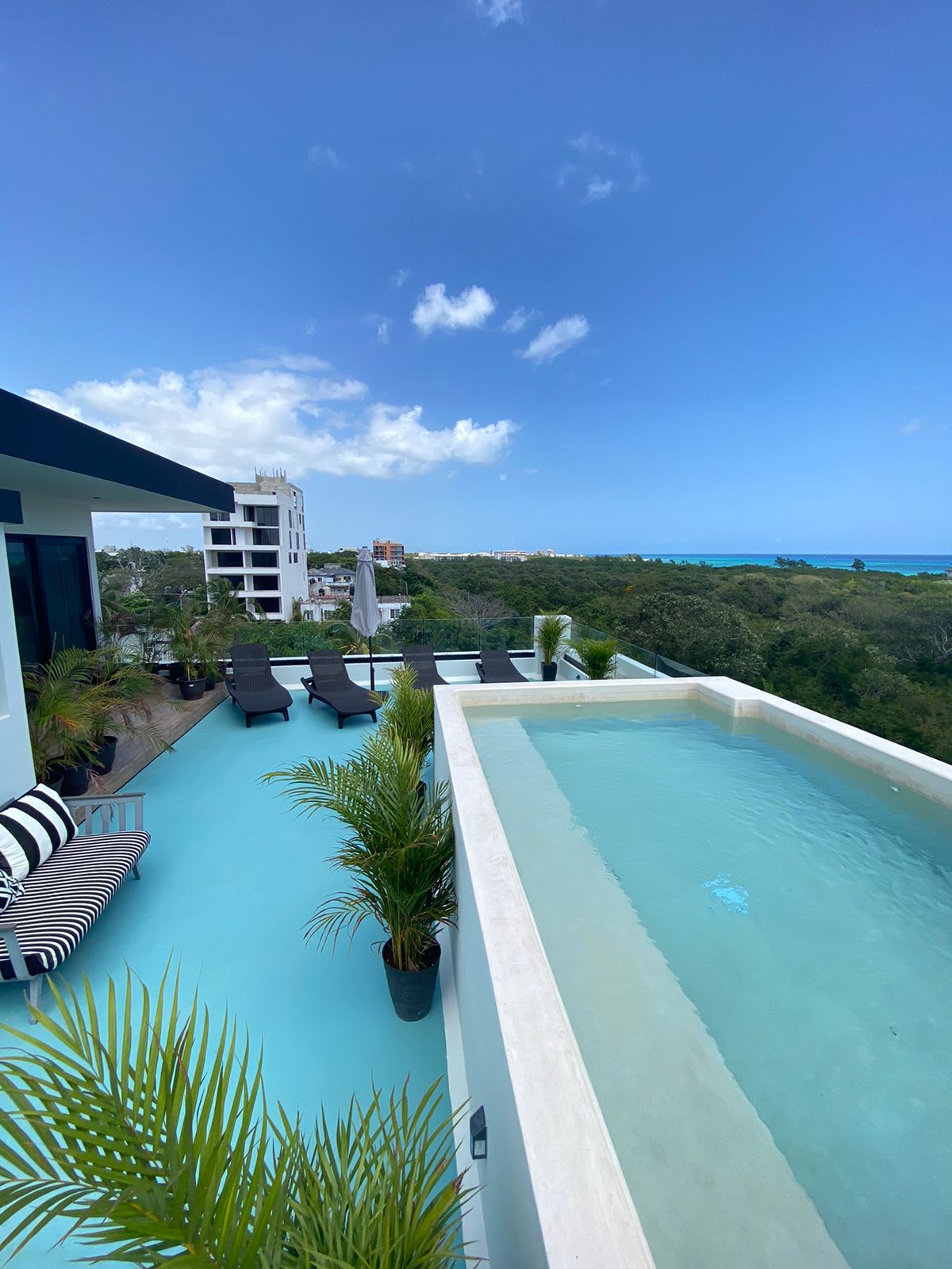 Studios ocean-view in Playa del Carmen! - Thumbnail 7