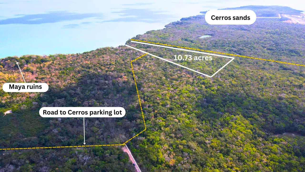 Beachfront Land for Sale – 10.73 Acres by Cerros Maya Ruins, Corozal, Belize