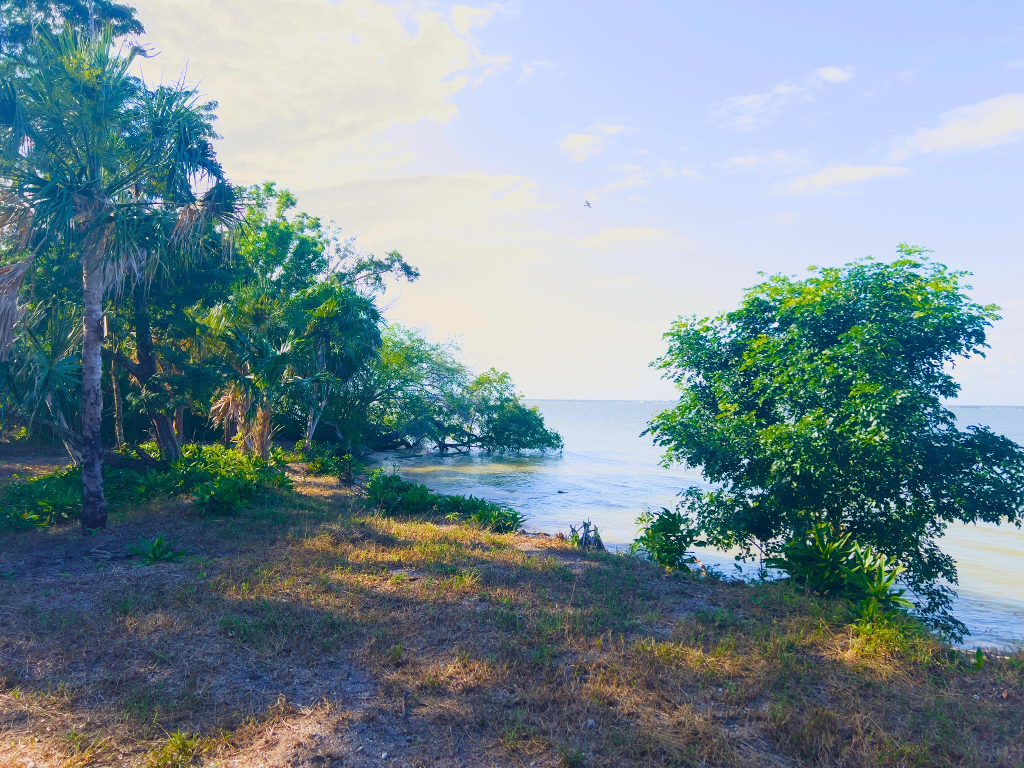 Beachfront Land for Sale – 10.73 Acres by Cerros Maya Ruins, Corozal, Belize - Thumbnail 2