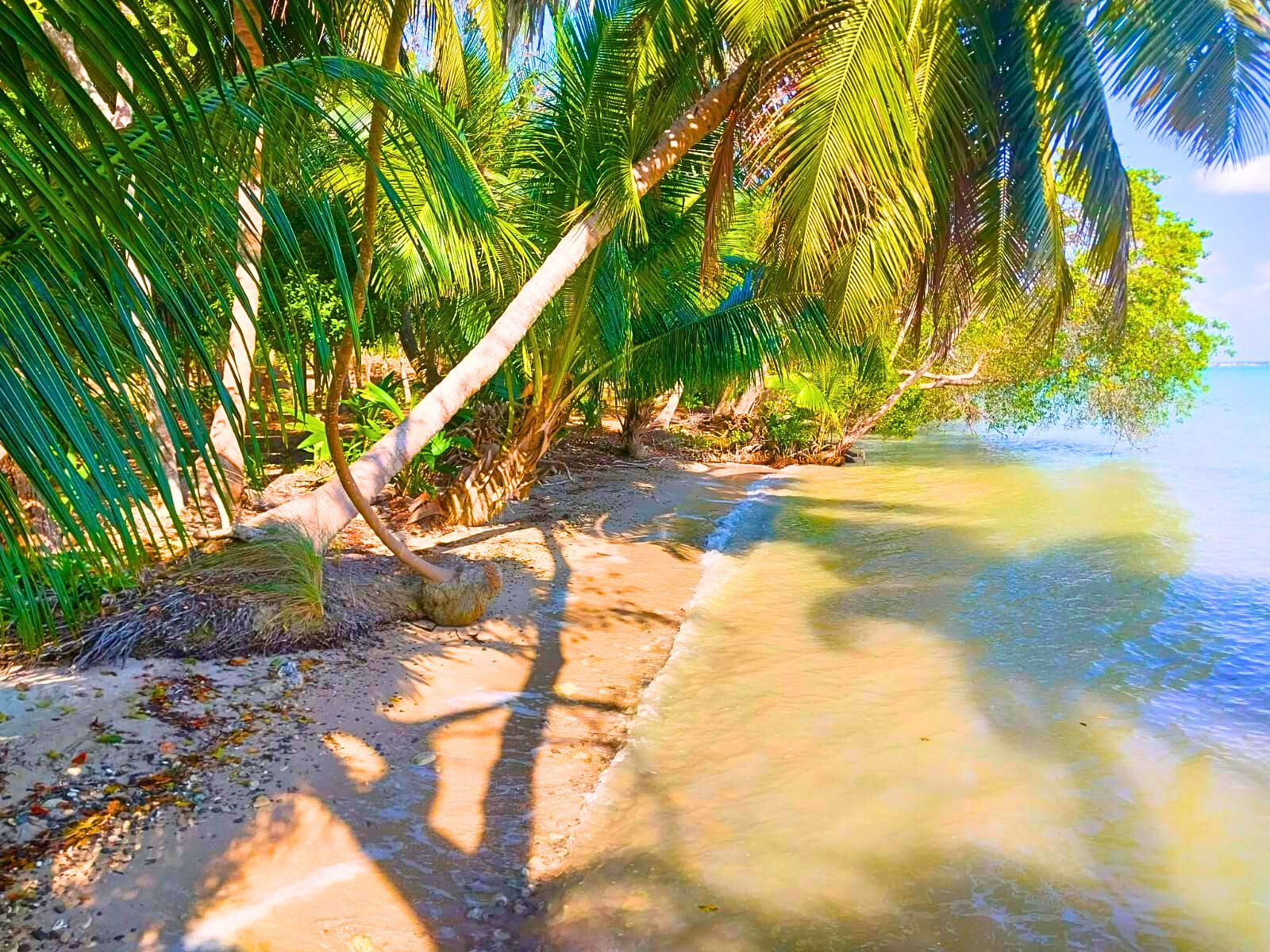 Beachfront Land for Sale – 9.73 Acres by Cerros Maya Ruins, Corozal, Belize - Thumbnail 3