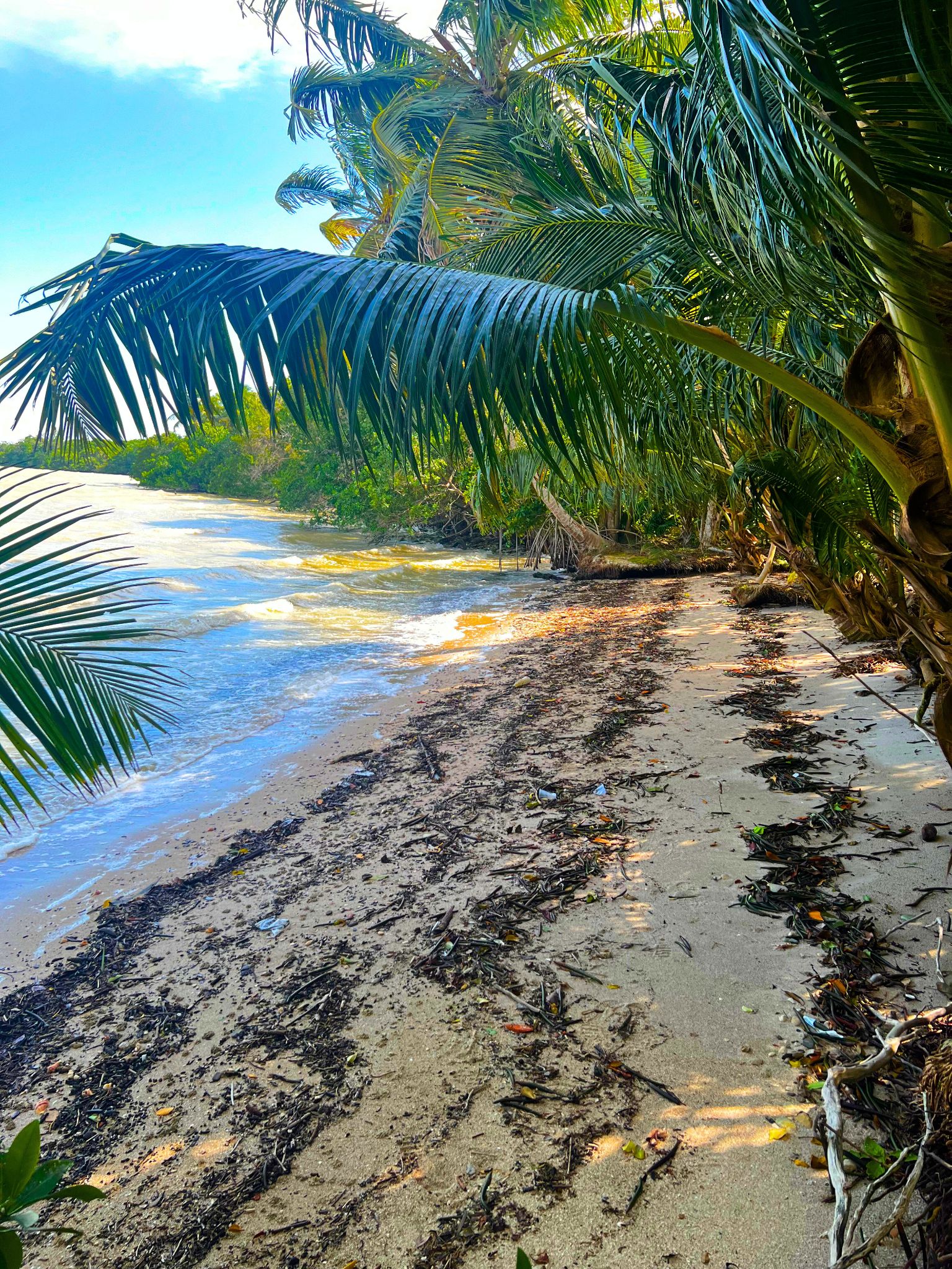 Beachfront Land for Sale – 9.73 Acres by Cerros Maya Ruins, Corozal, Belize - Thumbnail 6