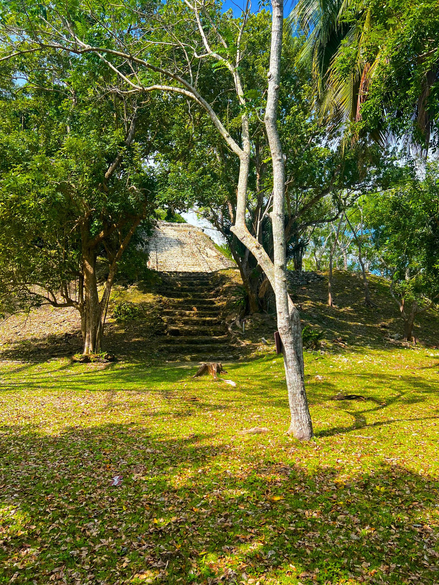Beachfront Land for Sale – 9.73 Acres by Cerros Maya Ruins, Corozal, Belize - Thumbnail 5