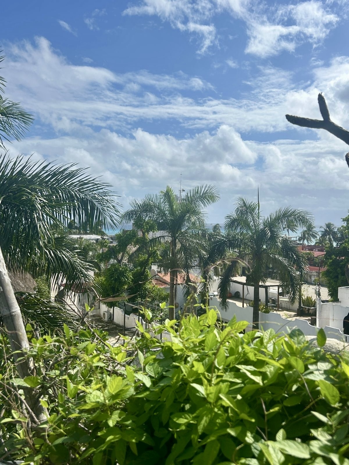 Unique Studio for Sale in the Heart of Playa del Carmen – Gonzalo Guerrero - Mexico - Thumbnail 19