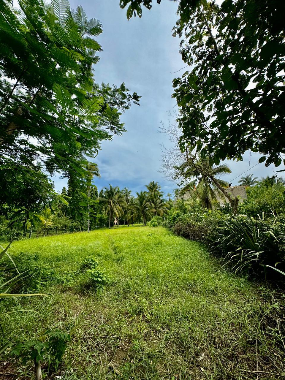 Land for Sale – Playa (Beach) Suncita, Metalío, Sonsonate