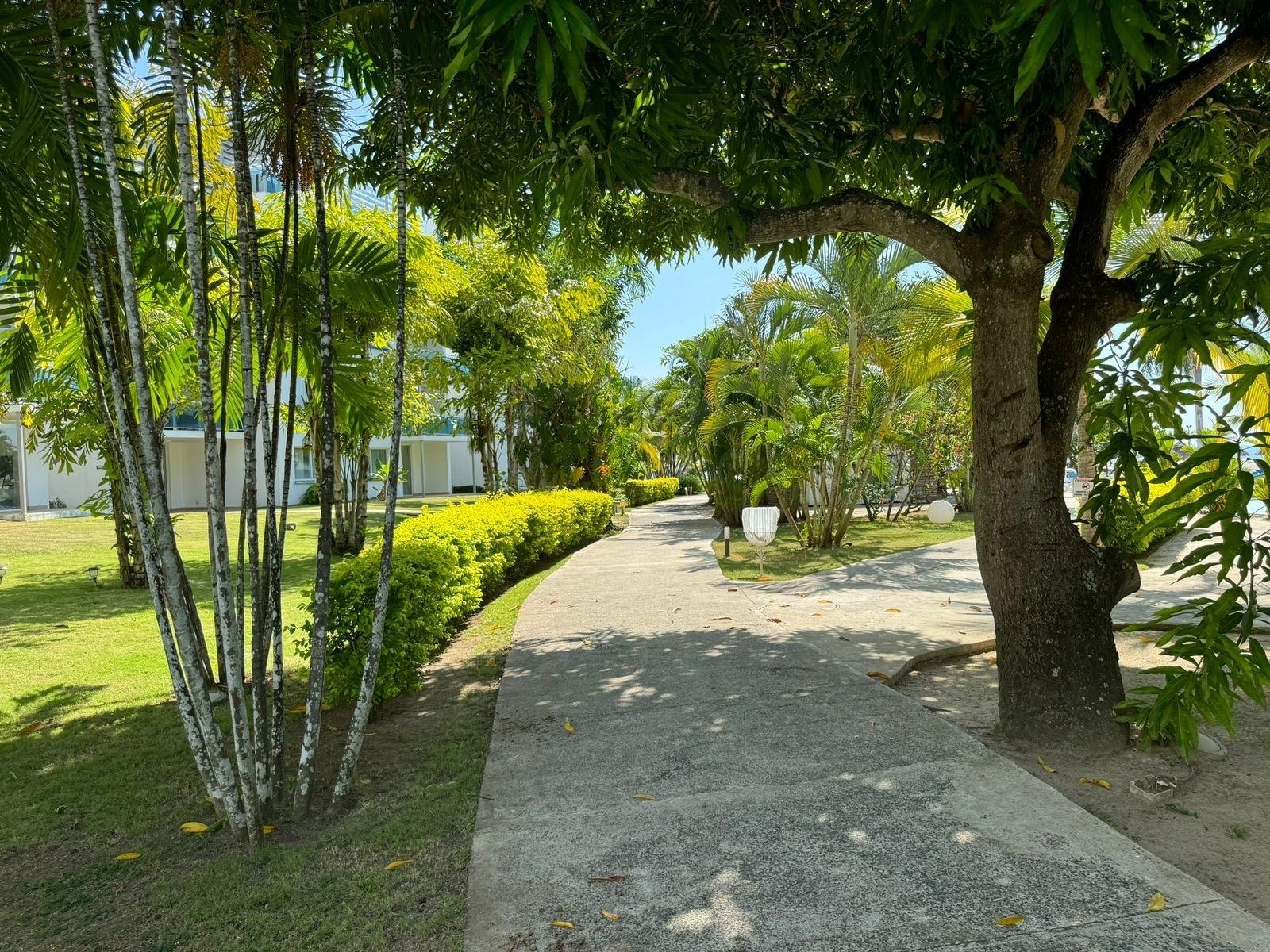 Luxury 2-Bedroom Apartment with Terrace at Nikki Beach, Playa Blanca - Image 2