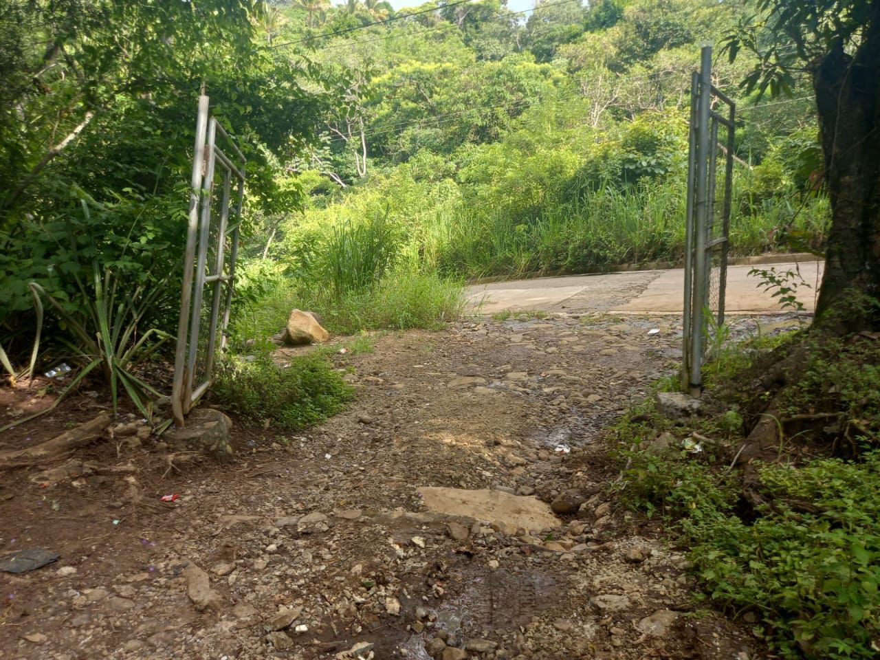 Farm for Sale – Tacuba, Ahuachapán