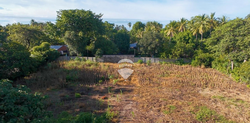 FOR SALE PLOT OF LAND 3rd ROW PLAYA SAN MIGUEL - Image 4