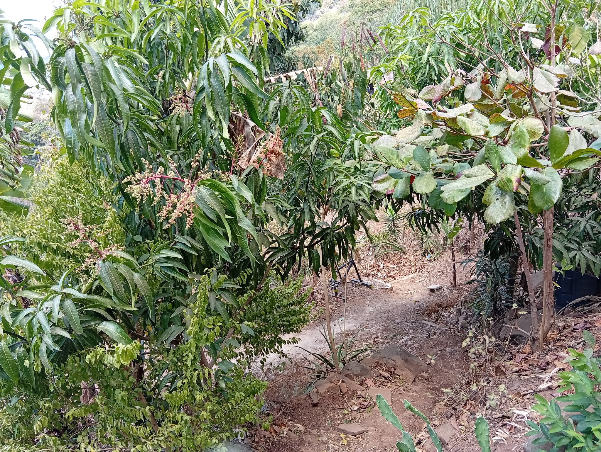 Investment Property with 6 Lots and Event Area in Cantón Las Cruces
