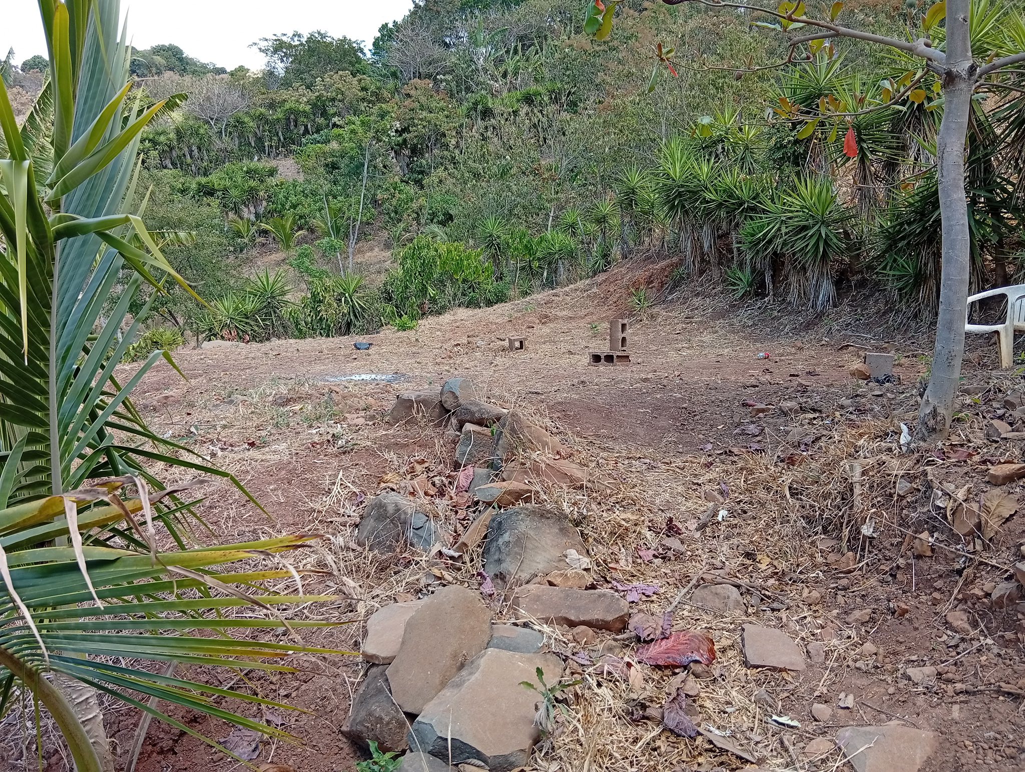 Investment Property with 6 Lots and Event Area in Cantón Las Cruces - Image 2