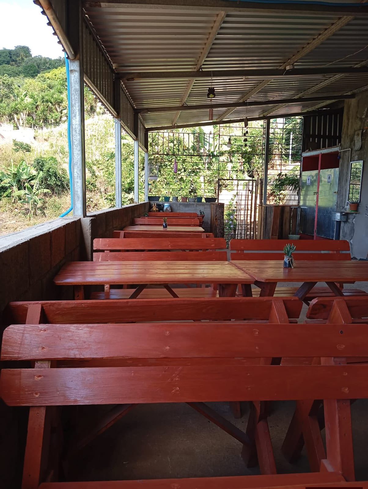 Investment Property with 6 Lots and Event Area in Cantón Las Cruces - Image 9