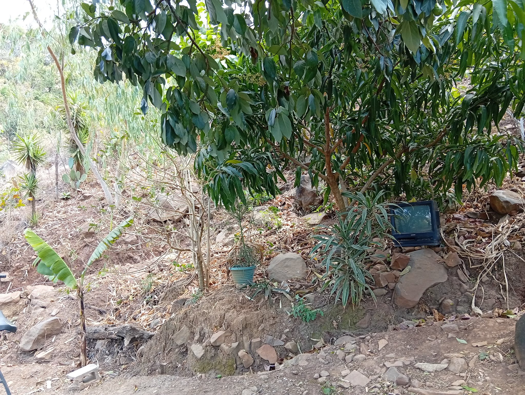 Investment Property with 6 Lots and Event Area in Cantón Las Cruces - Image 6