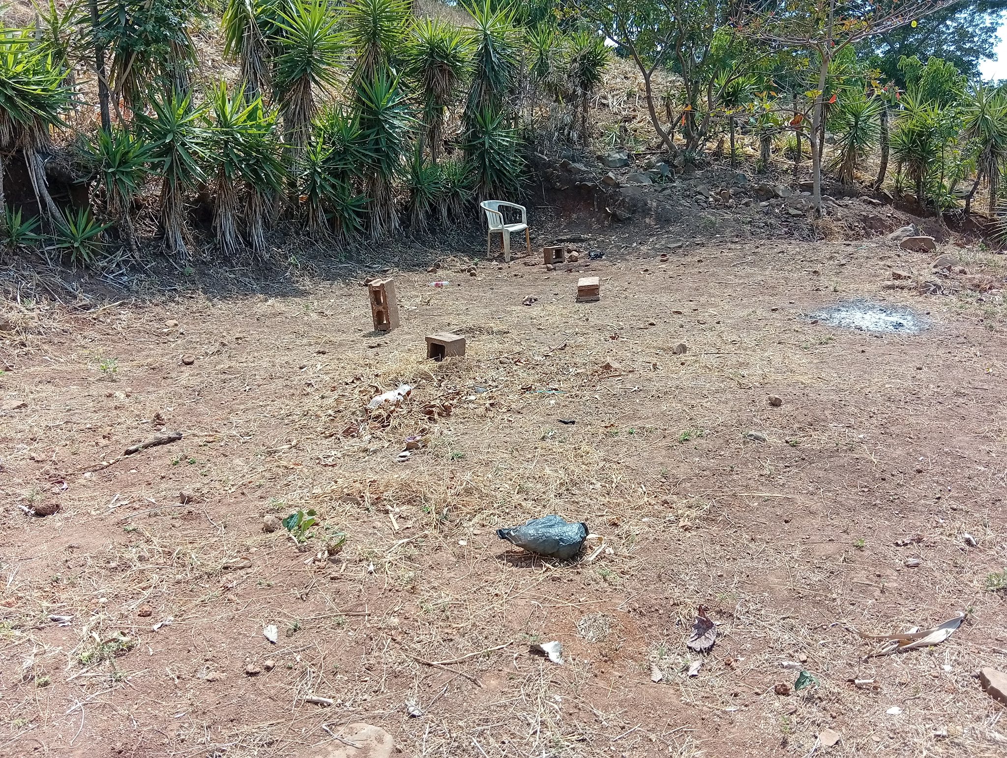 Investment Property with 6 Lots and Event Area in Cantón Las Cruces - Image 7