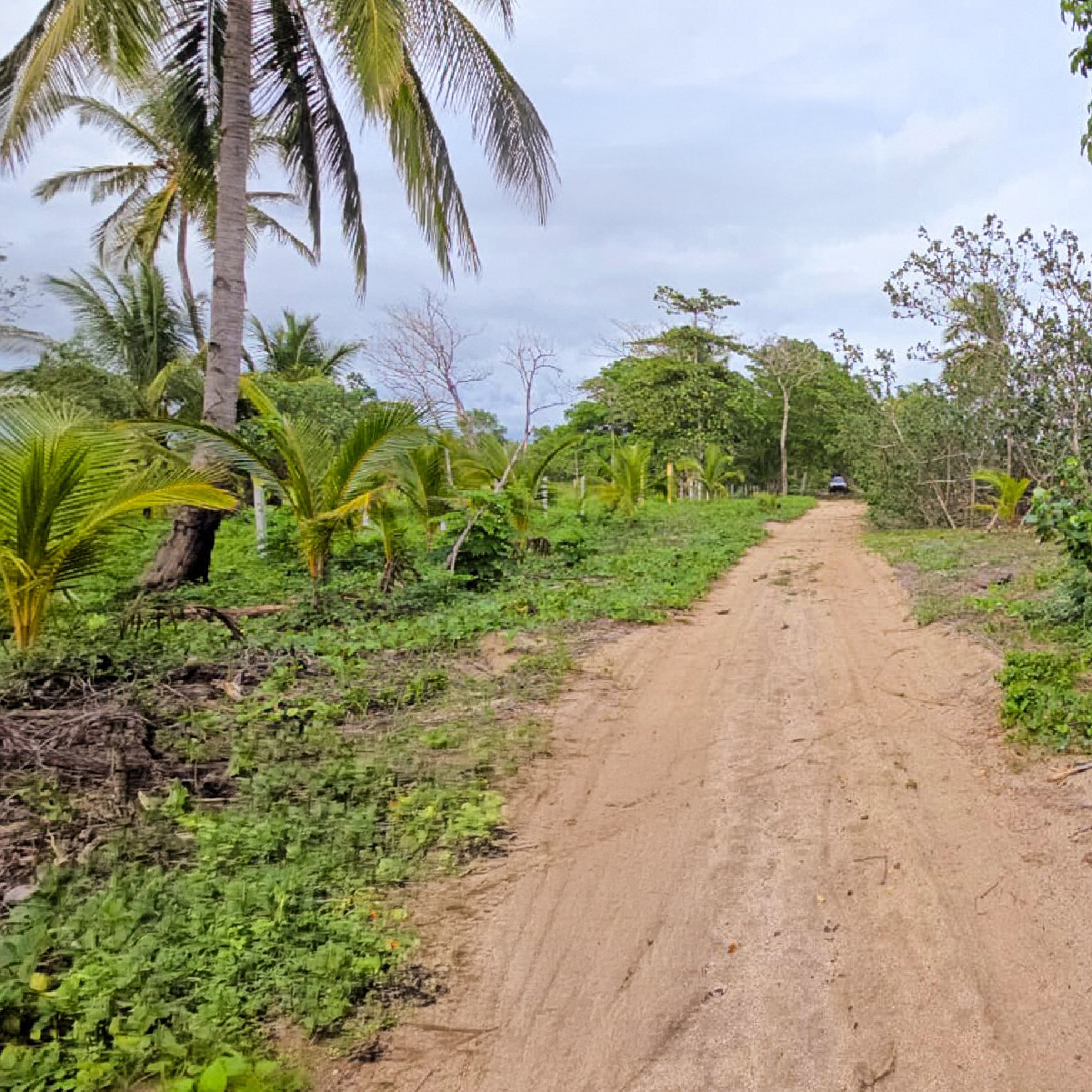 Beachfront Development Land – Playa Nanzal, San Lorenzo - Image 1