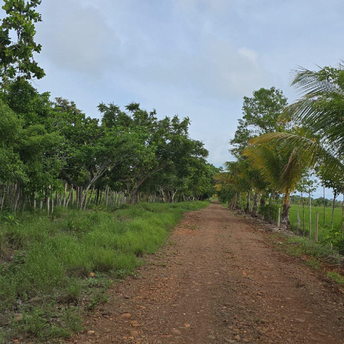Beachfront Development Land – Playa Nanzal, San Lorenzo - Image 5