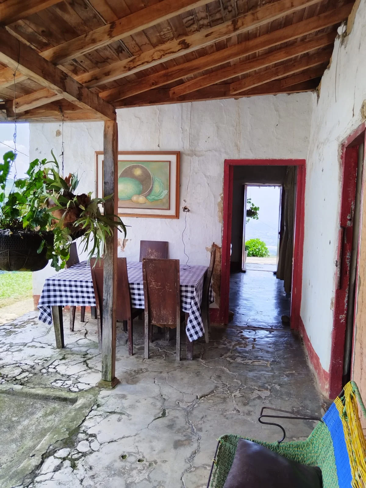 Artisanal Coffee Farm & Boutique Tourism Investment – Vereda El Jardín - Image 2