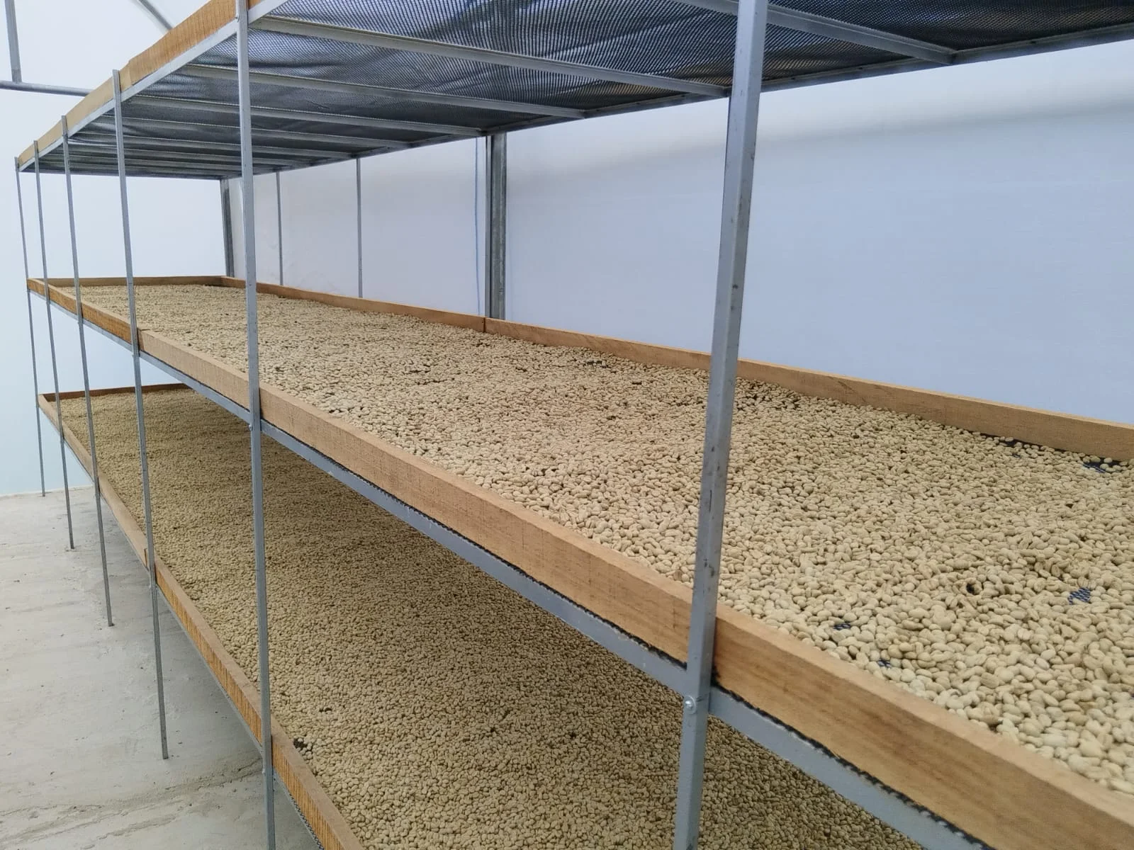 Artisanal Coffee Farm & Boutique Tourism Investment – Vereda El Jardín - Image 6