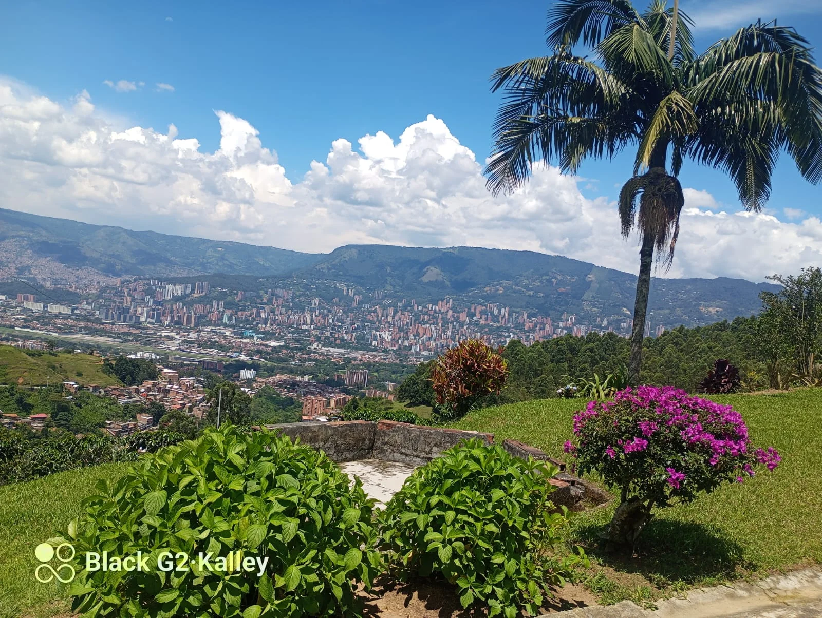 Artisanal Coffee Farm & Boutique Tourism Investment – Vereda El Jardín - Image 7