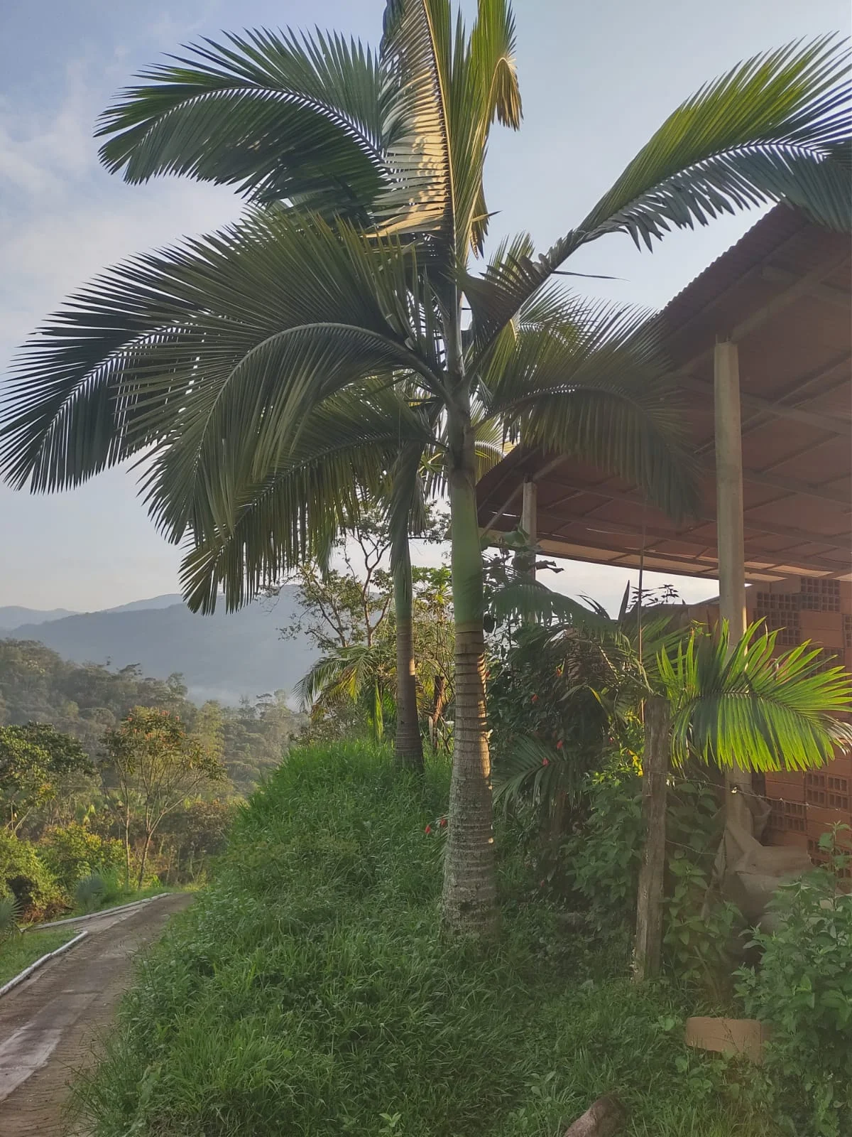 Development Land with Private Gated Access on the Medellín–Bogotá Highway, Cocorná - Image 6