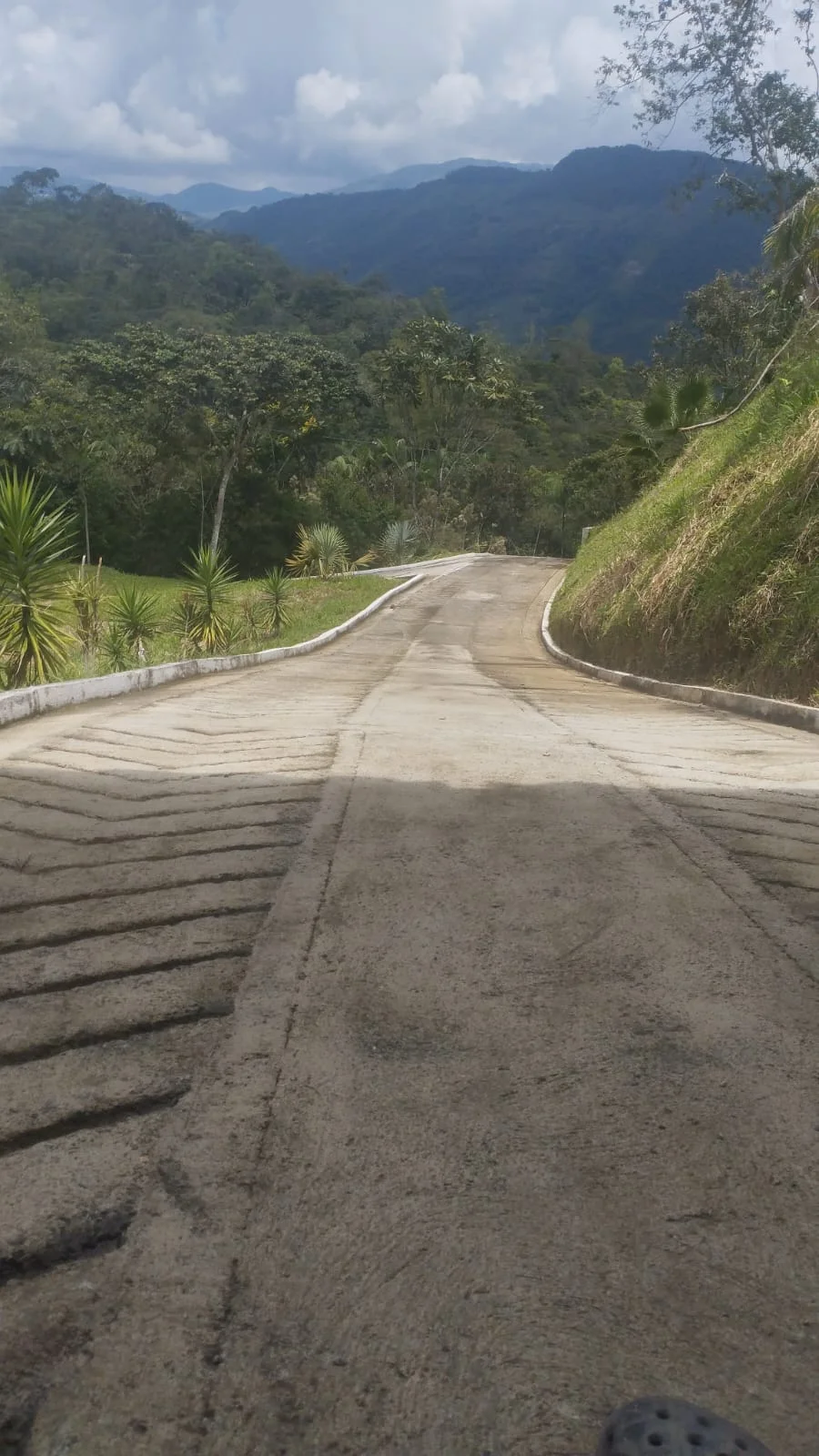 Development Land with Private Gated Access on the Medellín–Bogotá Highway, Cocorná - Image 5